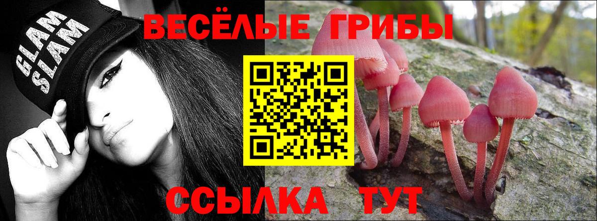 Псилоцибиновые грибы GOLDEN TEACHER  хочу наркоту  Шелехов  Вход с VPN  Псилоцибиновые грибы Psilocybe 