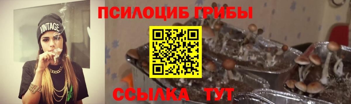 Галлюциногенные грибы мухоморы Шелехов